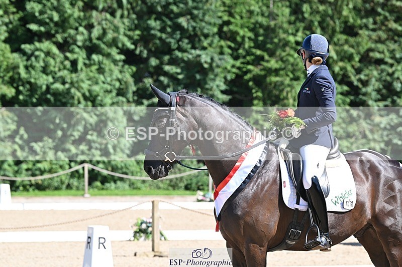 240811-153456-06671 - Adv Medium Gold