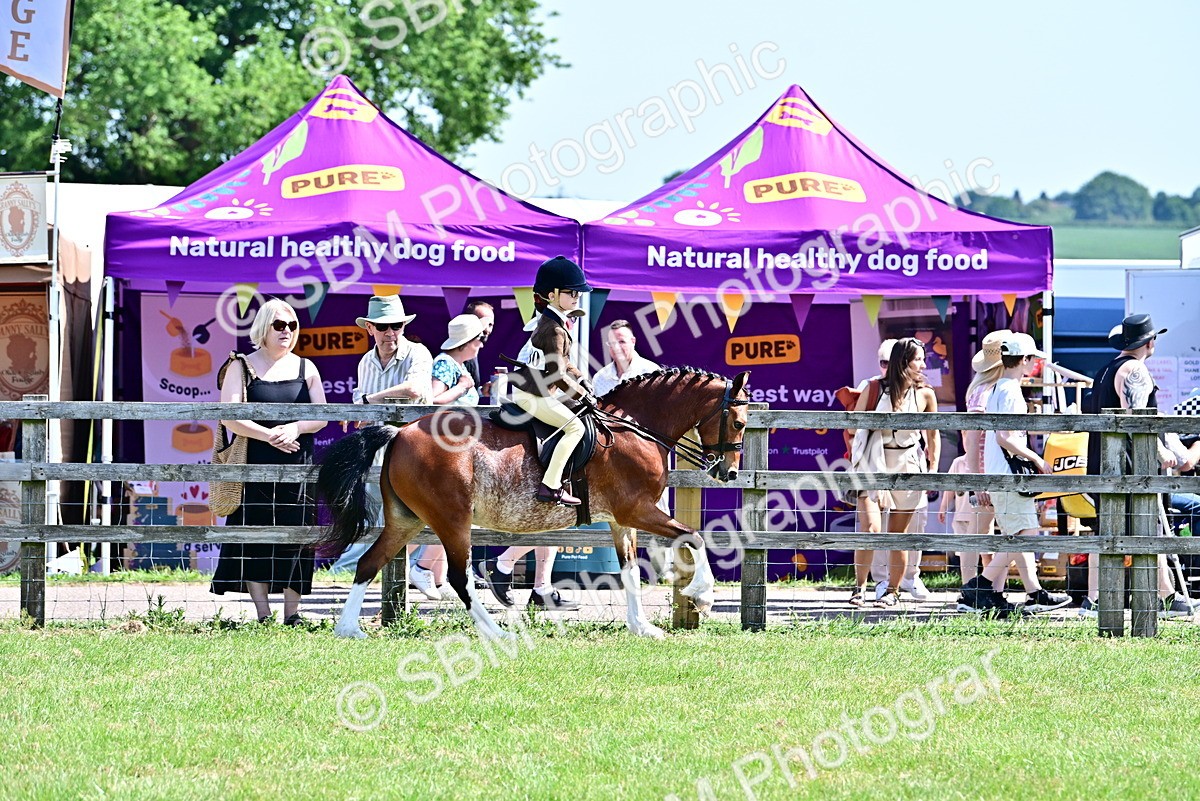 SBM_13921 - Class 95-97 - BSPS LHS Performance Ponies