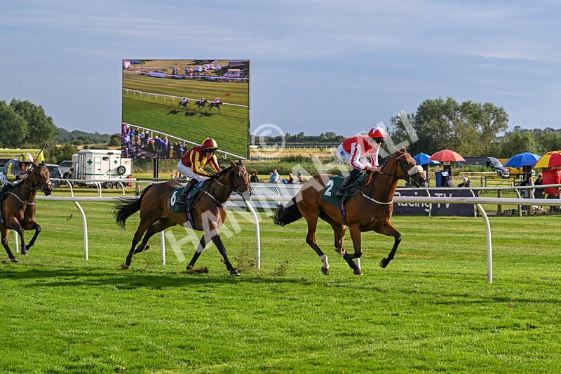 280824-Race 6-Night On Earth-4943 - Race 6