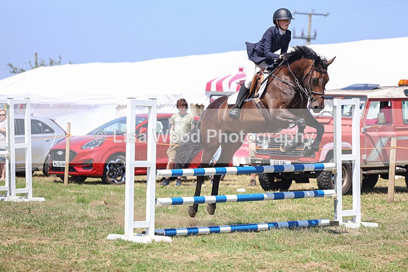 3E7A4449 - Class 10: Senior British Novice/90cm open