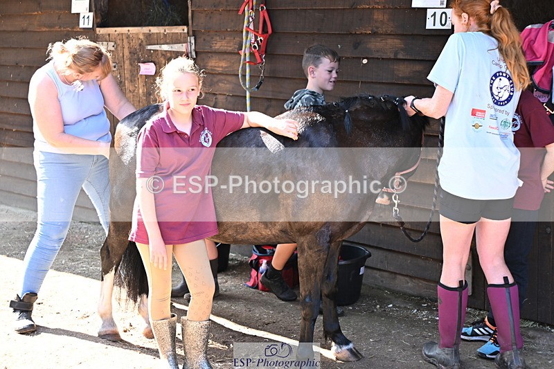 240729B-091720-01760 - Monday Stable Shots