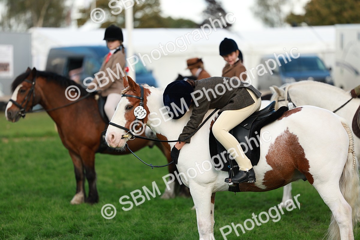 SBM_28821 - S7 - Novice & Newcomer Ridden Pony