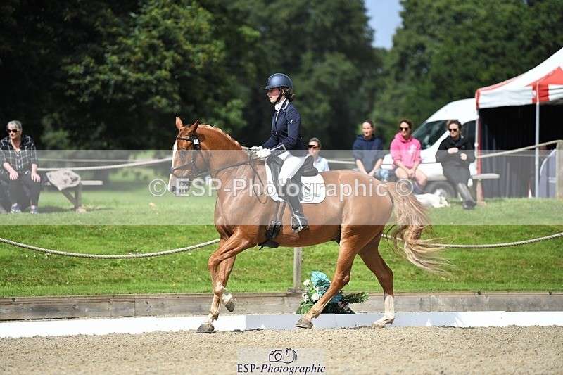 230812-112728-03630 - Cls 6 Novice Silver 10.30 to 11.55 break