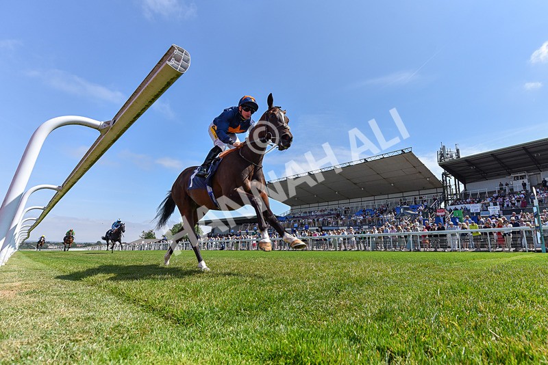 140726-Race 1-Fast Track-2866 - Race 1 14.17pm EBF Fillies' Novice Stakes