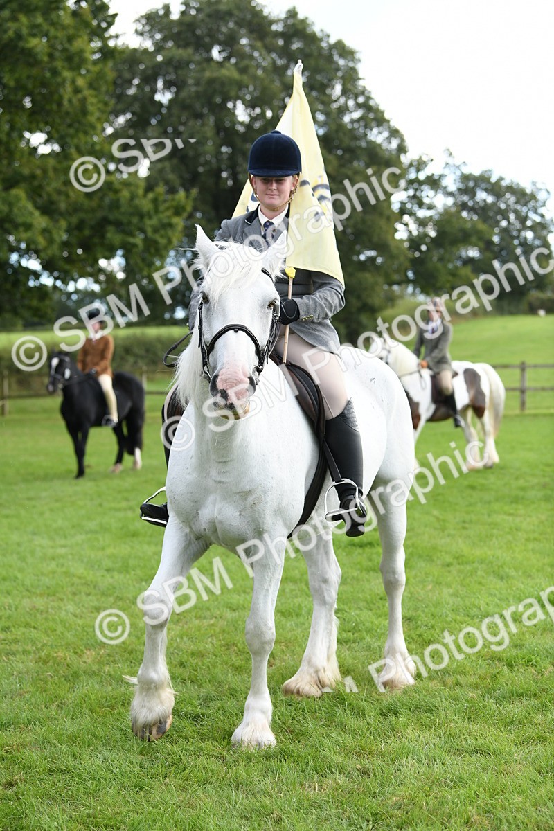 SBM_47211 - S12 - Family Horse & Pony