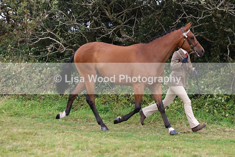 3E7A4346 - Class 15: Three Year Olds