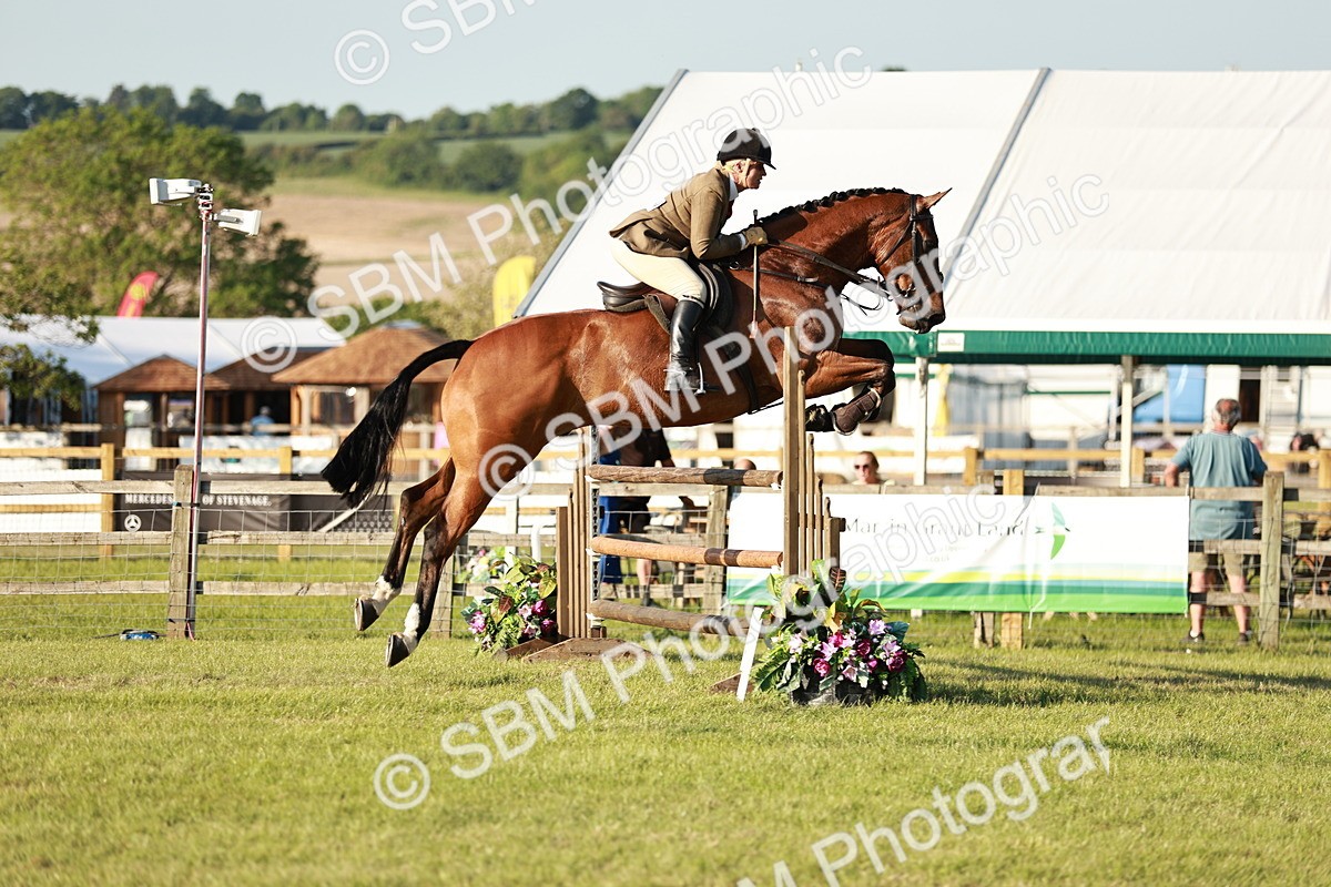 SBM_20396 - Class 117-119 - Sport Horse Working Hunter