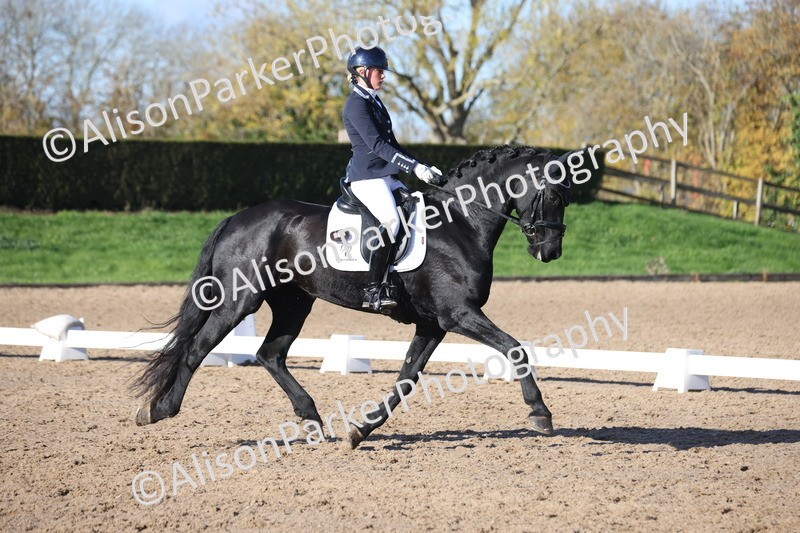 20251102-0565 - Class 3 - Novice 5