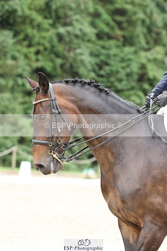 240810-160138-04137 - 216-Libby.Gill-Sherbert.II