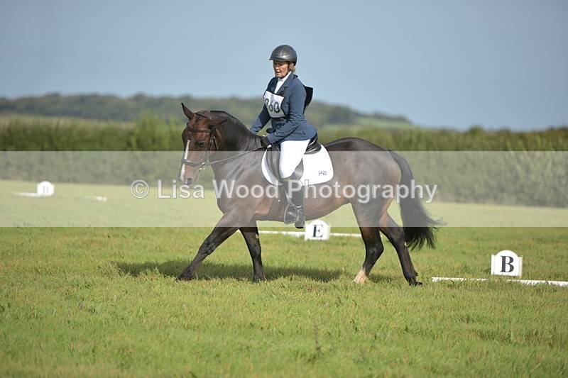 RAY_7810 - Class 2B: Trekenning Open: Dressage