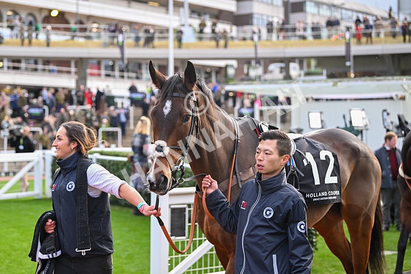 171124-Race 4-Paddock-Hymac-3437