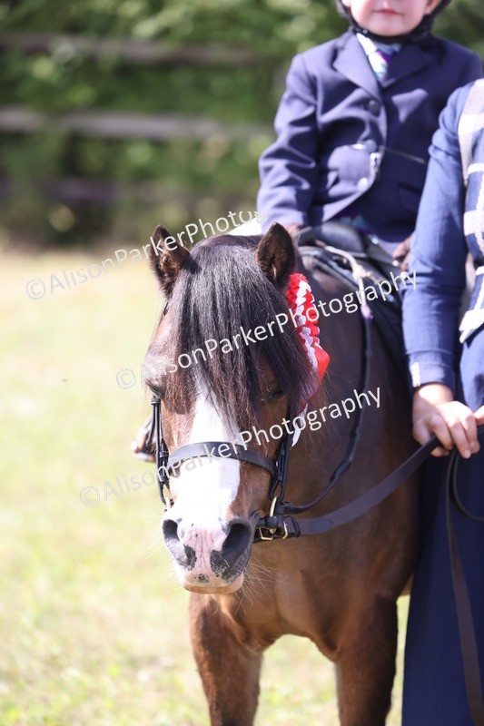20260906-2827 - Class 25 - Absolute Beginners Pony