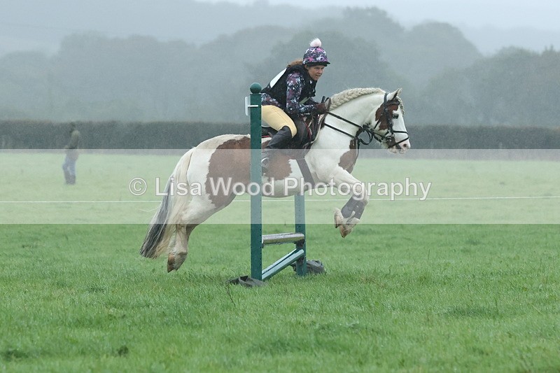 JPP_5017 - Class 1: 65cm : Showjumping