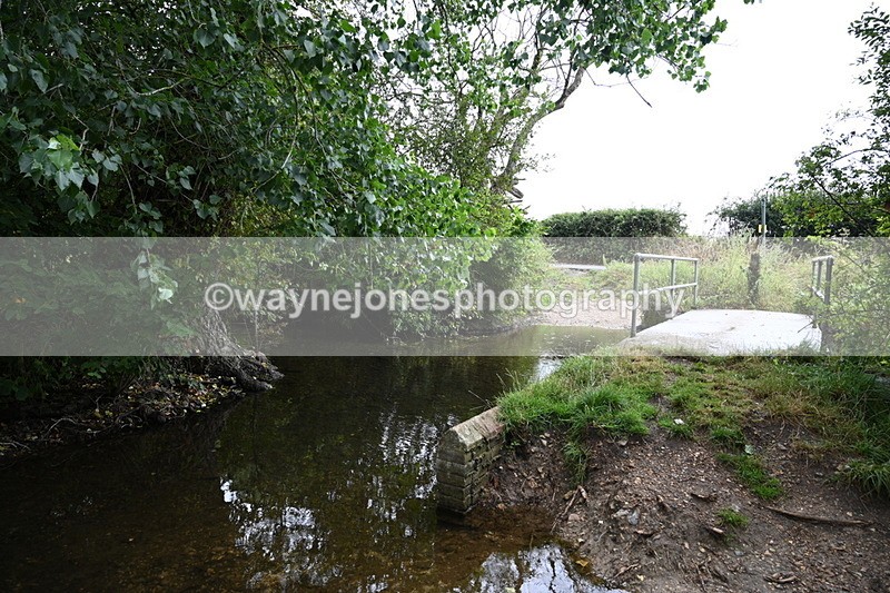 WJ7_8306 - Group 1