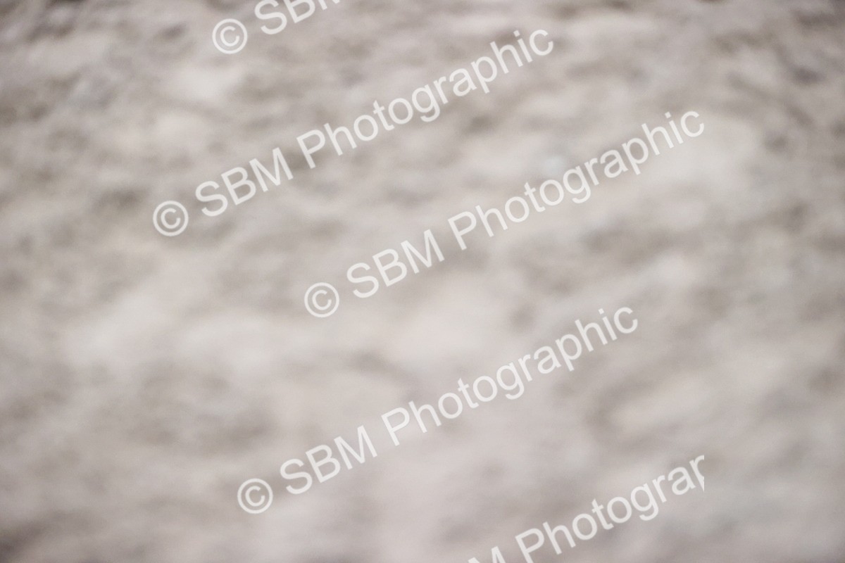 SBM_001692 - Class 3 - Springboard 128cm 138cm Restricted handicap 85cm 95cm