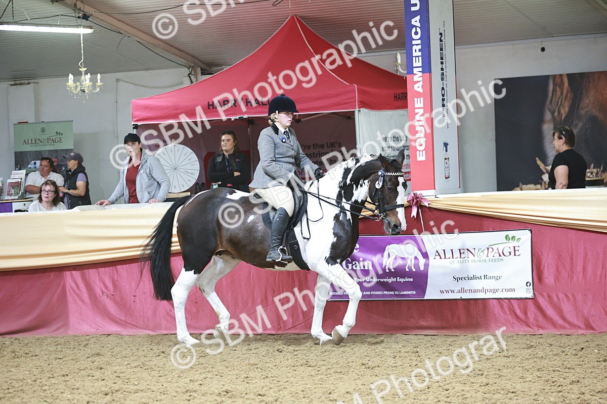 SBM_08826 - Class 12R - Regional Ridden Pre-Vet