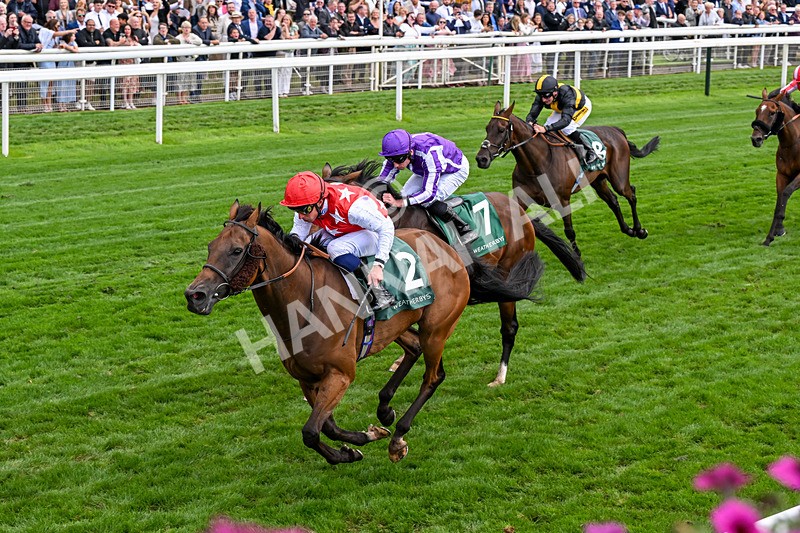 210826-Race 2-Al Nayyir-0157 - Race 2 14.25pm Weatherbys Lonsdale Cup Stakes