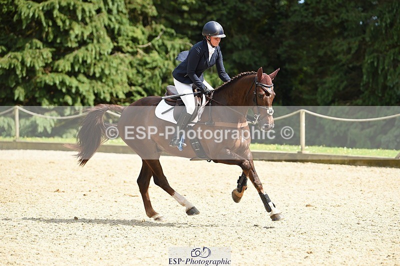 230528-152746-19040 - 169-DHI_HOUDINI-Sophie_Hodgson-SUNTrotUp+SJ