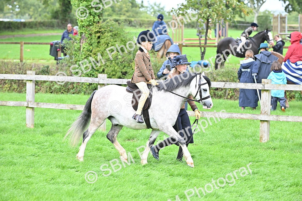 SBM_40121 - S20 - Lead Rein Mountain & Moorland Pony