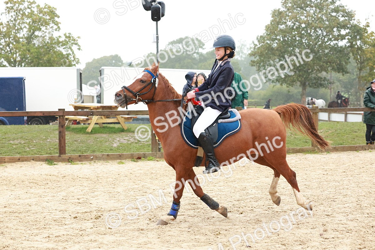 SBM_73675 - Supreme Championship Junior Pony 60cm & 65cm