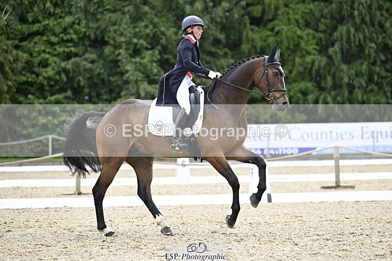 000101-204636-04218 - 409-MHS_SEVENTEEN-Rosalind_Canter