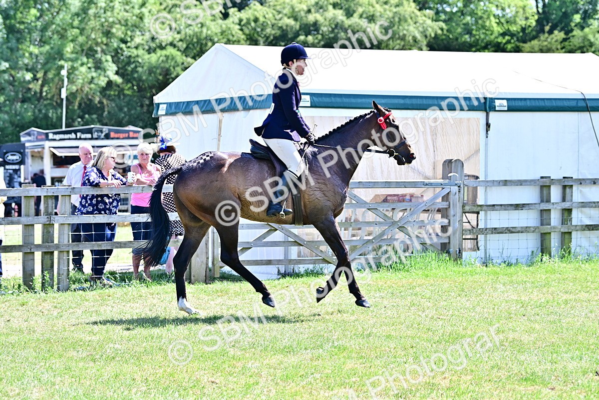 SBM_18195 - Class 99-100 - Retraining of Racehorses Ridden