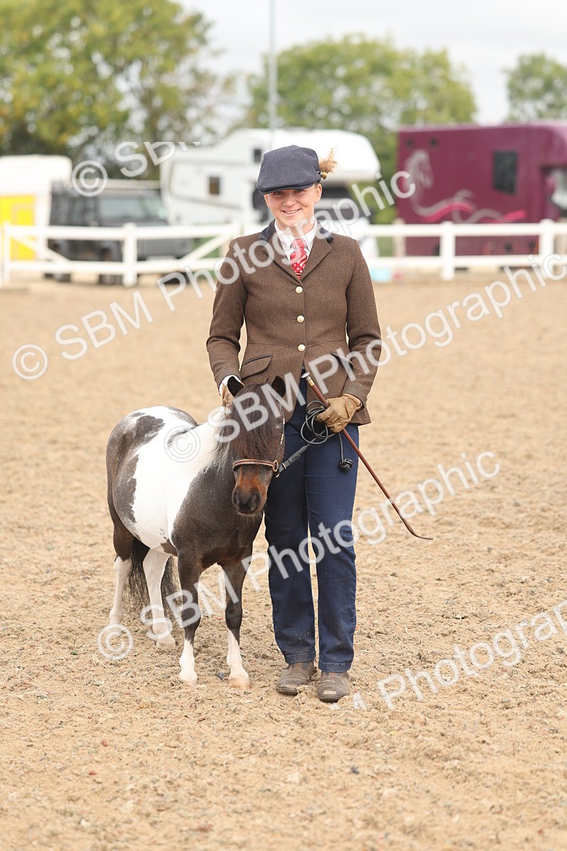 SBM_02099 - Class 15 - IH Coloured