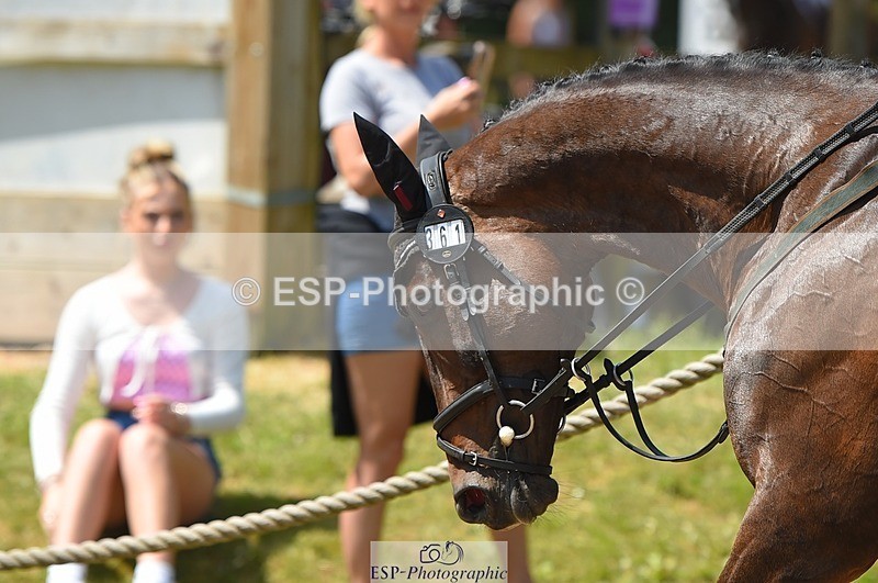 230528-121142-15576 - 361-FINCH_FANCY-Ben_Lee_Liles-SUNTrotUp+SJ