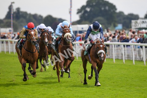 250823-Race 2-Coltrane-0317 - Race 2 2.25pm Weatherbys Hamilton Lonsdale Cup Stakes