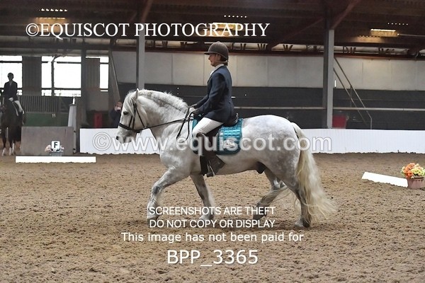 BPP_3365 - INTRO TEST 1