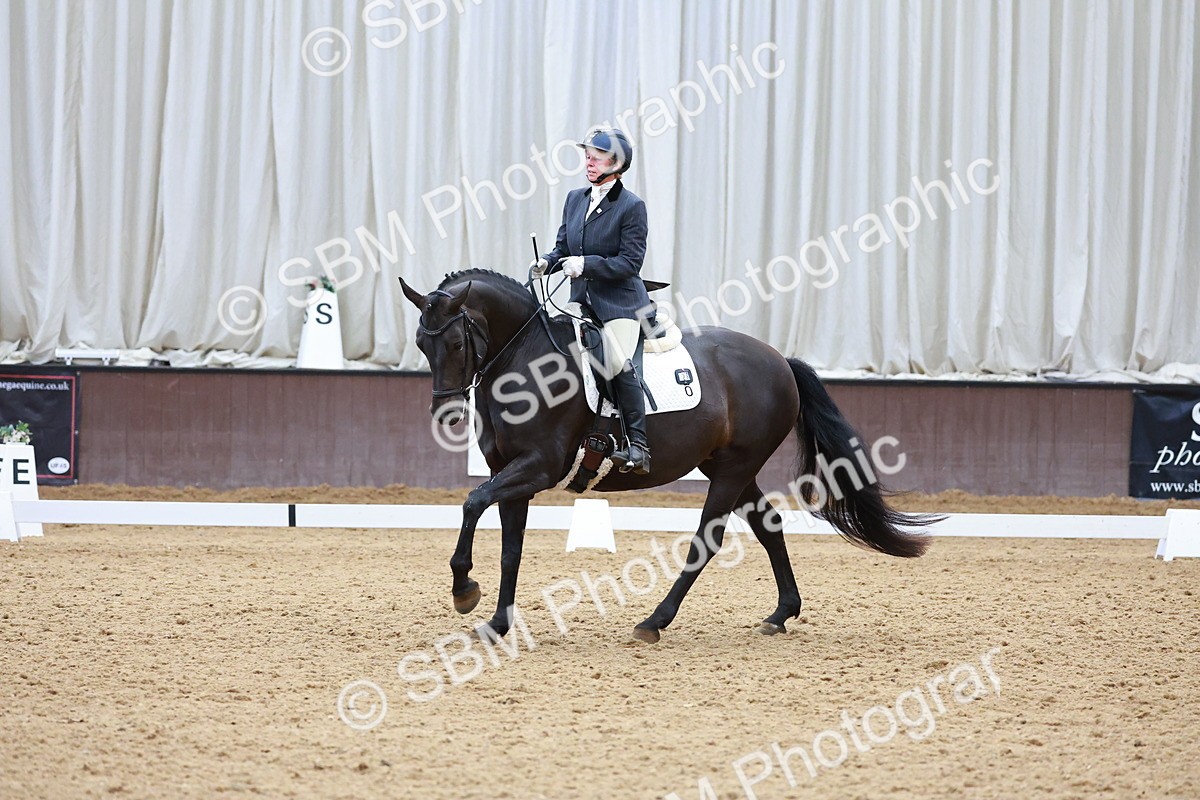 SBM_007556 - Class 4-5-6 - Prel 3-Novice 2-Ele 2