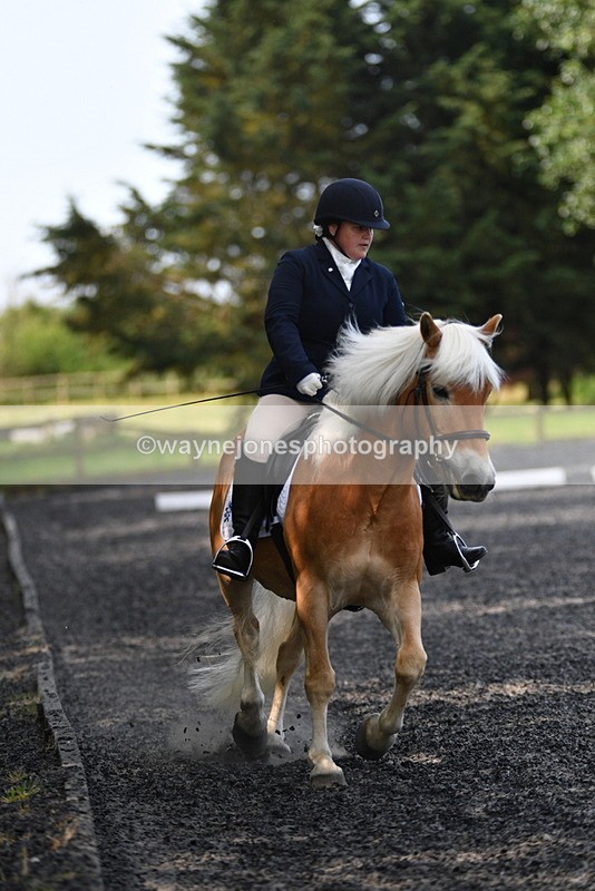 WJ5_9230 - Time 10:10 to 10:47