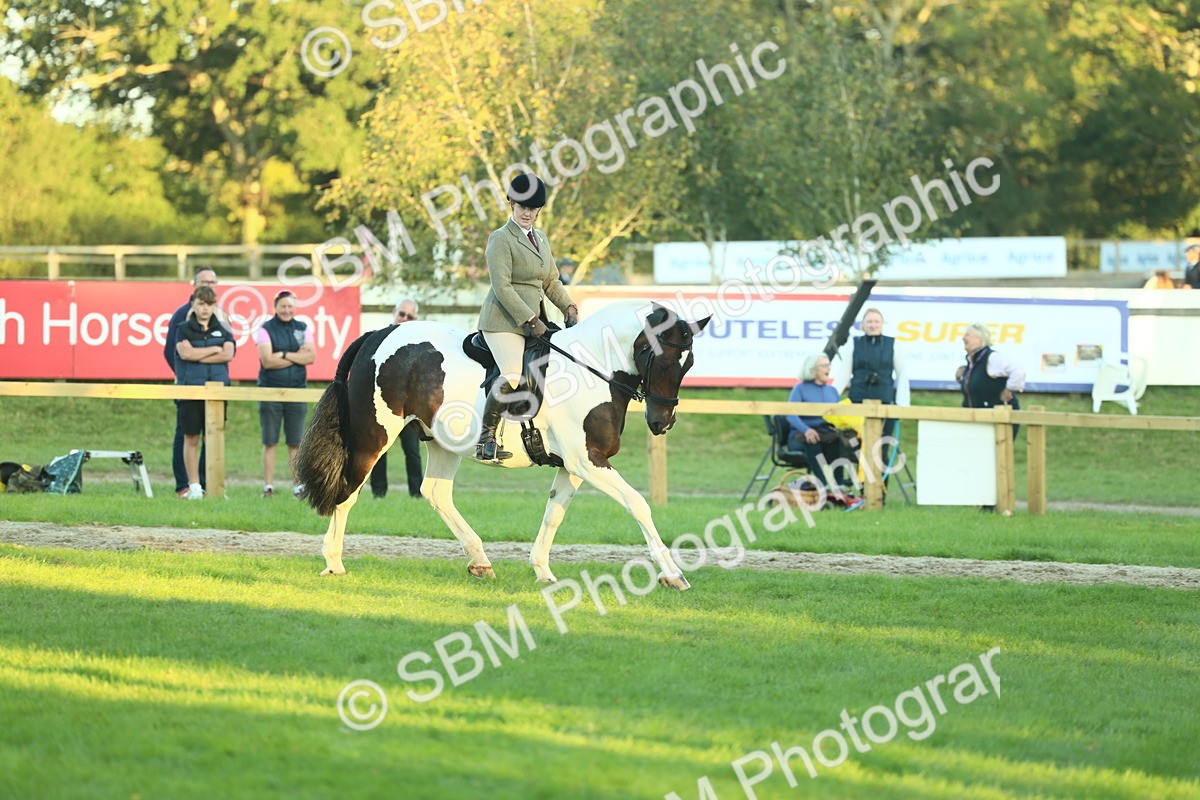 SBM_56492 - S14 - Riding Club Horse