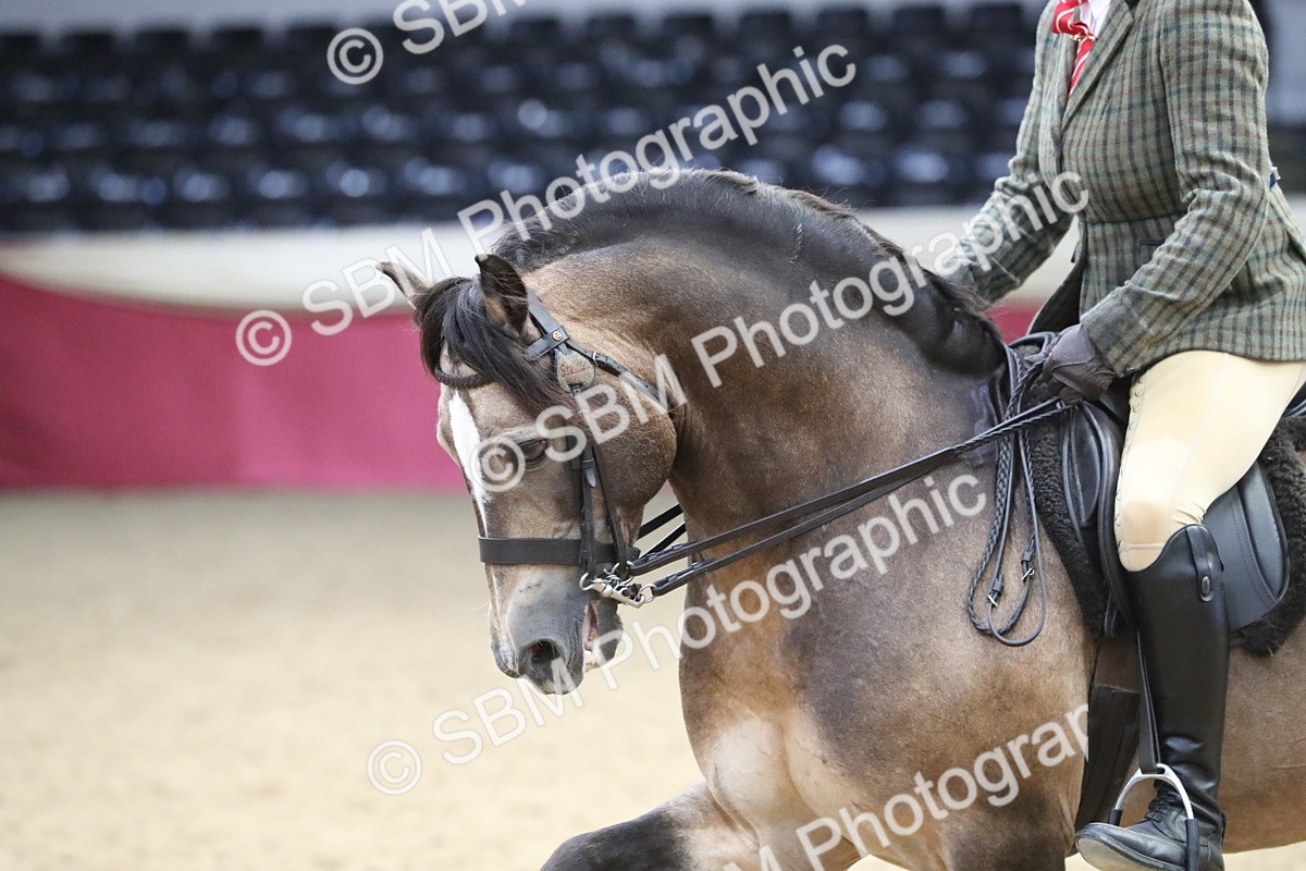 SBM_16353 - Class 502 M&M Ridden Supreme Final