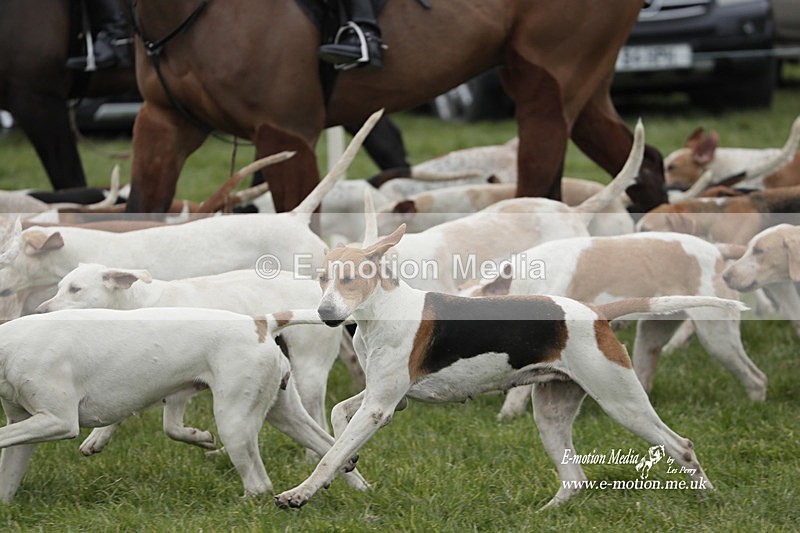 PtP 050323 525 - Blackmore & Sparkford Vale Hunt PtP - Somerset 05/03/23