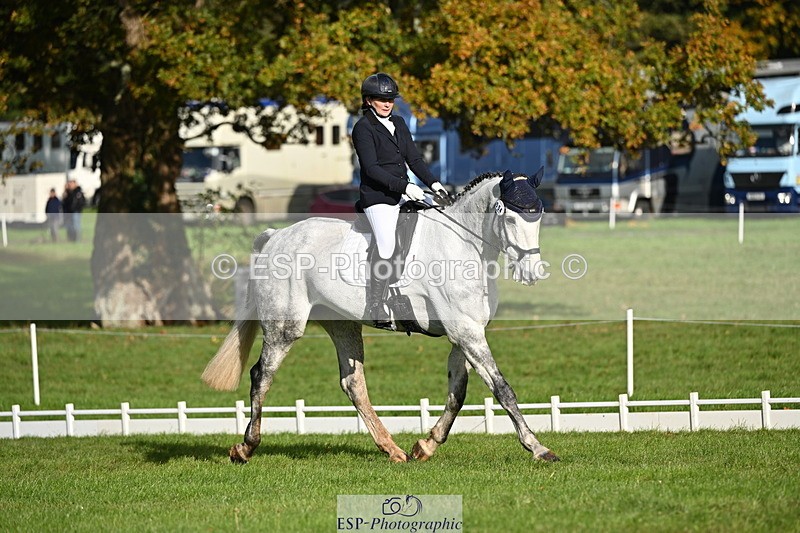 251024A-101251-08271 - G-554-Kerri.Mcnicol