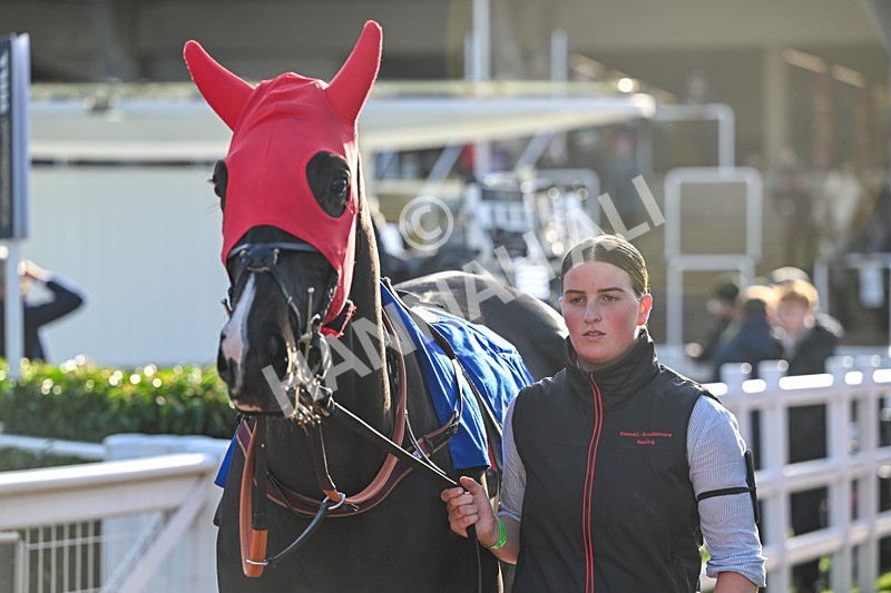 251025-Race 5-Caballo De Guerra-9362 - Race 5