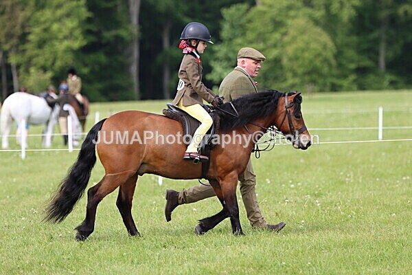 IMG_2317 - Working Hunter