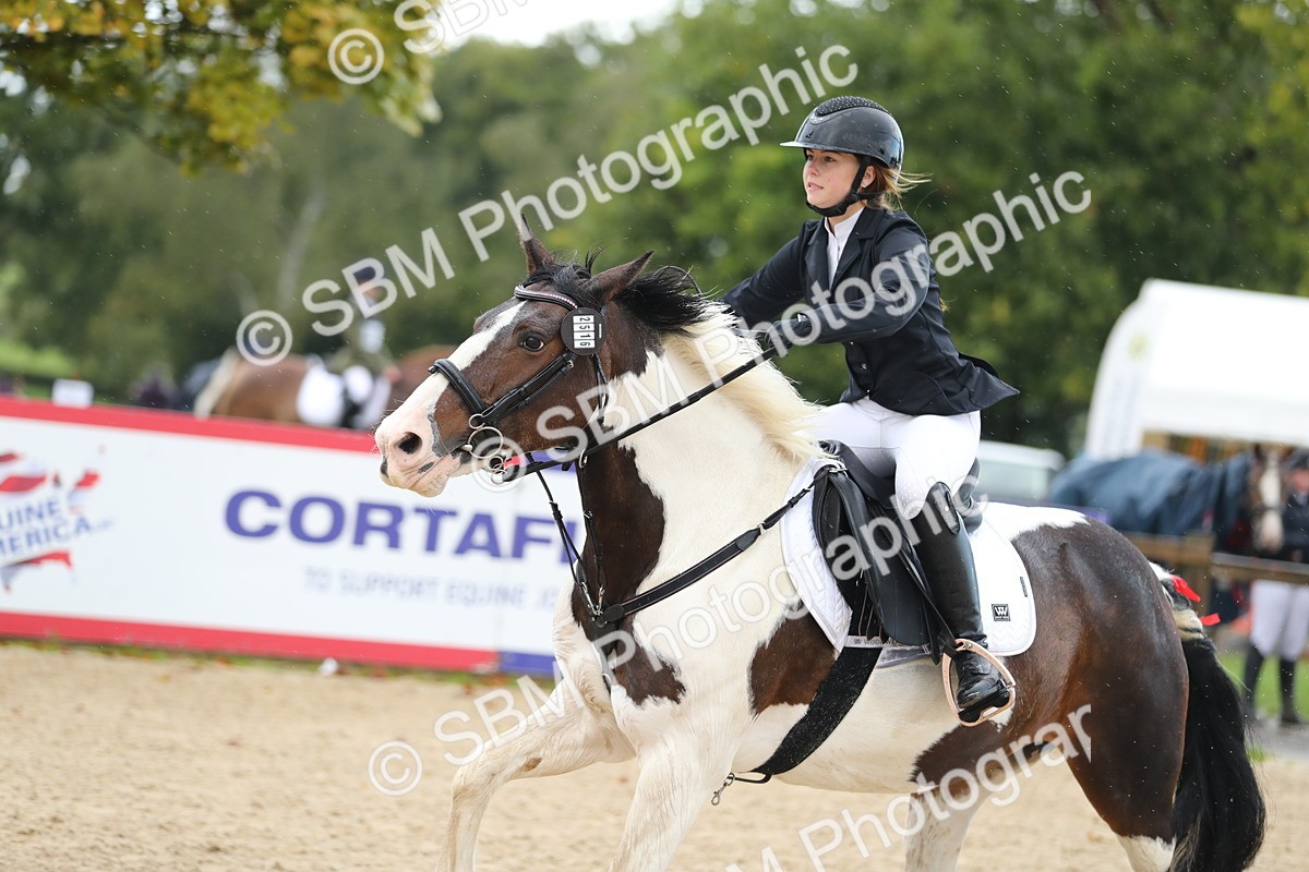 SBM_37213 - J20 - Junior Horse 50cm Championship