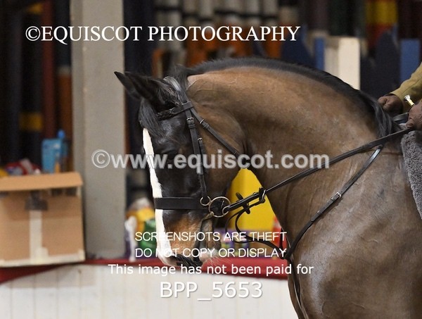 BPP_5653 - CLASS 10 90CM