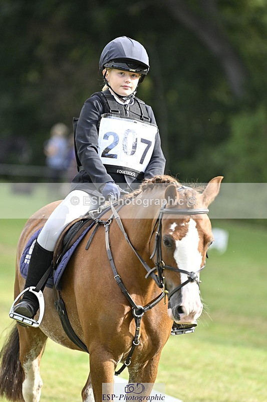 250821A-094325-13538_DR 900 to 1000 - 079-742-5102