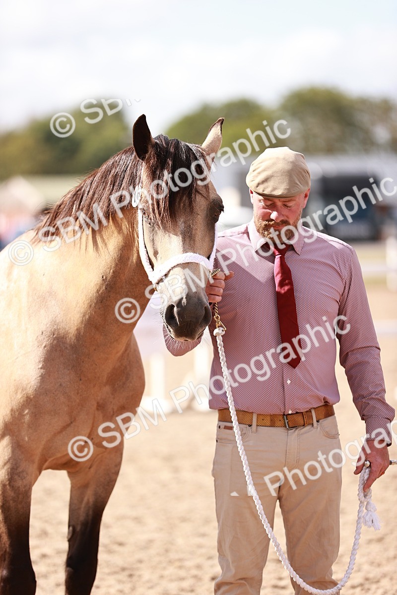 SBM_23011 - Class 707 - IH groom Helpers Class