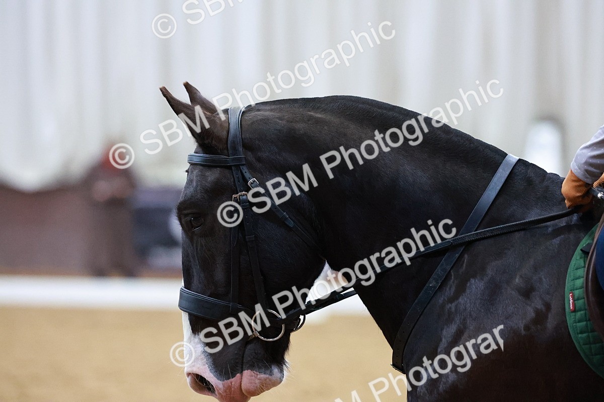 1I0A0904 - Class 3-6 - Prelim 1-Novice 2
