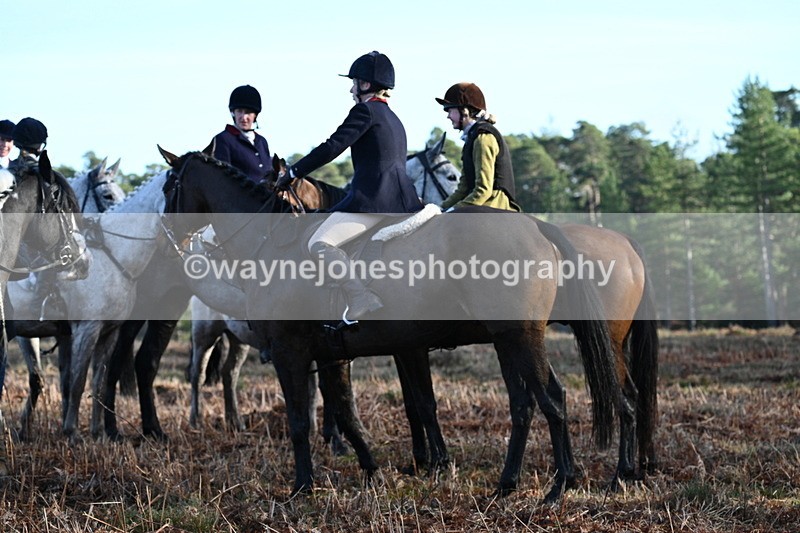 WJ7_7194 - Line 3 (no line 4 or 5)