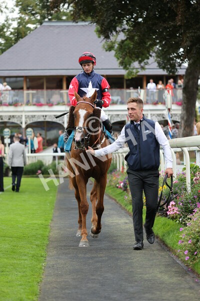 yr04092022r5-46 - Race 5 4.05pm Little Green Rascals Children's Nurseries Stakes