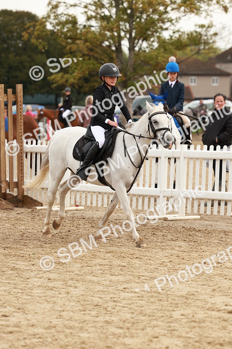 SBM_57636 - J11 - Junior Pony 50cm Championship