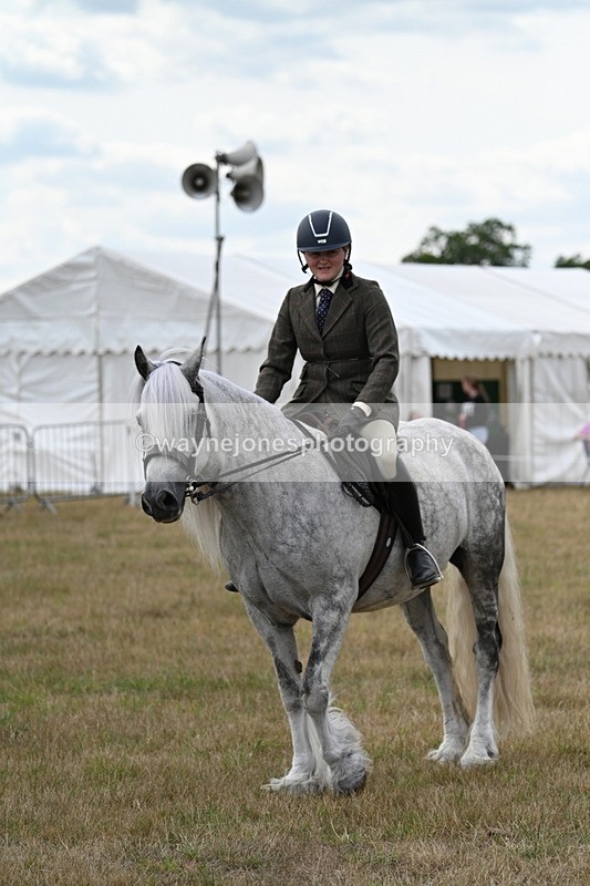 WJ7_5298 - Class 12 Ridden Cob