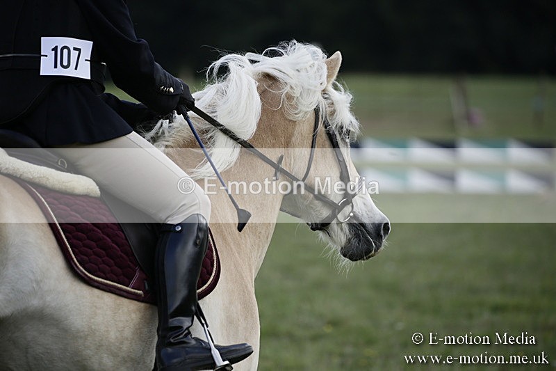 BVR090918 408 - BVRC Dressage and Show Jumping 09/09/18
