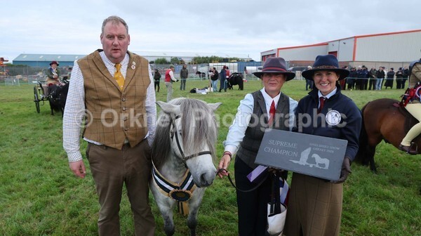 untitled-7269 - Shetland Pony Show