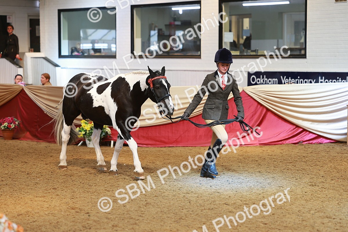 SBM_10720 - Class 103 - HOYS Veteran Qualifier - Ridden Pre Vet